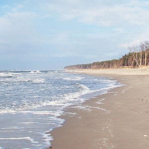 Haus Wieckin Ostsee Darss Ferienhaus-7