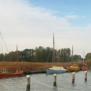 Haus Wieckin Ostsee Darss Ferienhaus-7