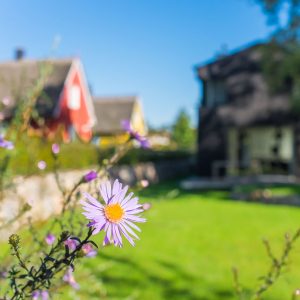 Haus Wieckin Ostsee Darss Ferienhaus-1