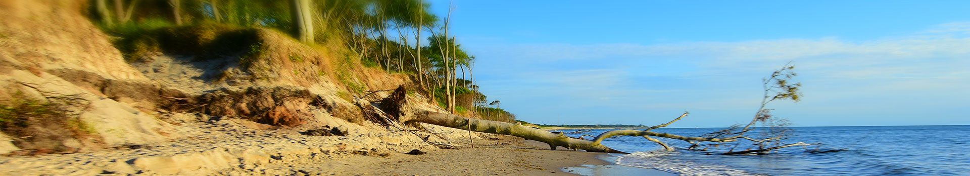 Ferienhaus Zingst Ostsee Mieten