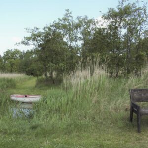 Urlaub An Der Ostsee, Ferien Am Meer, Ferienhaus, Ostseeurlaub, Wieck Am Darß, Ferienhaus Darss, Urlaub Ostsee