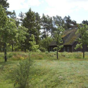 Urlaub an der Ostsee, Ferien am Meer, Ferienhaus, Ostseeurlaub, Wieck am Darß, Ferienhaus Darss, Urlaub Ostsee