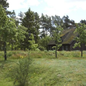 Urlaub An Der Ostsee, Ferien Am Meer, Ferienhaus, Ostseeurlaub, Wieck Am Darß, Ferienhaus Darss, Urlaub Ostsee